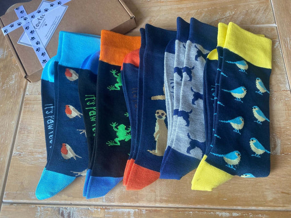Generic Socks Why Bamboo Socks Are the Ultimate Choice for Comfort and Sustainabilit
