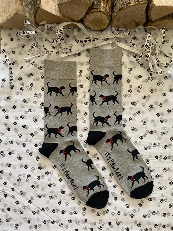 Men's Christmas Cat Socks - Grey