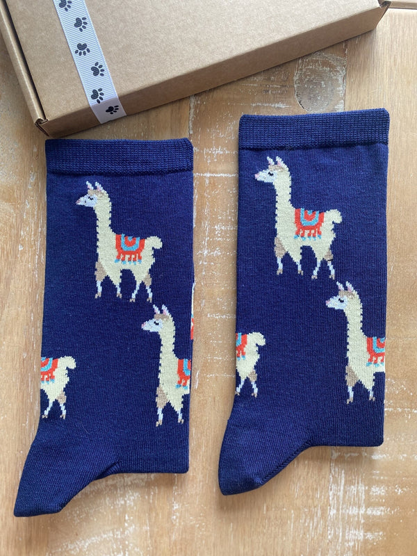 Women's Llama Socks - Navy