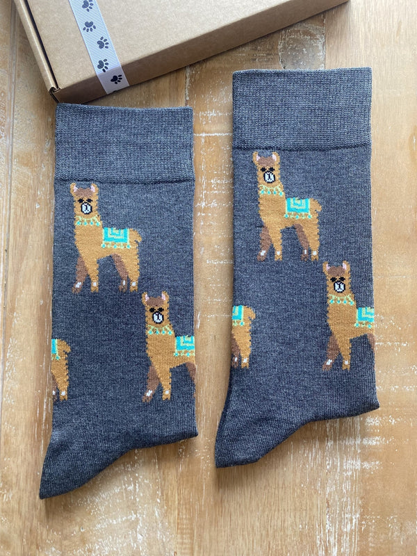 Men's Alpaca Socks - Grey