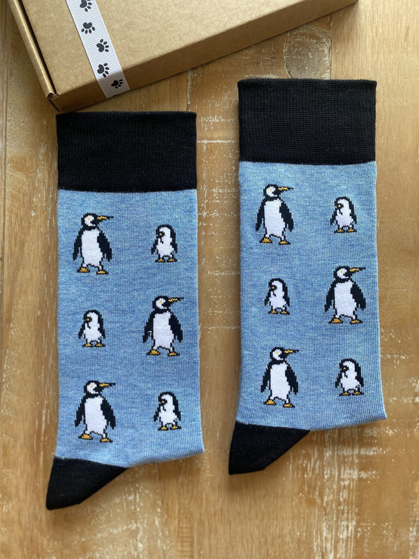 Men's Penguin Socks - Blue