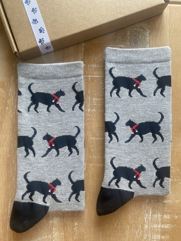 Women's Christmas Cat Socks - Grey