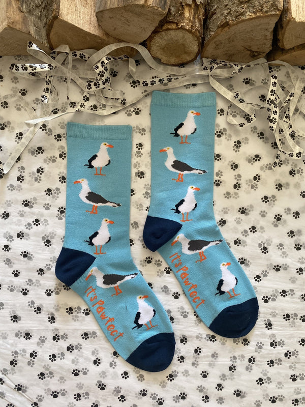 Women's Seagull Socks - Blue