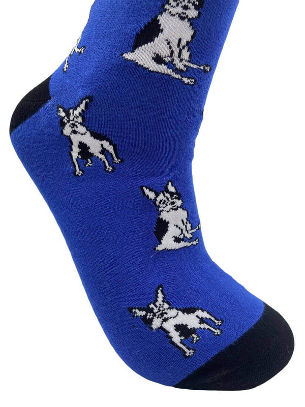 Men's French Bulldog Socks - Blue - It's Pawfect