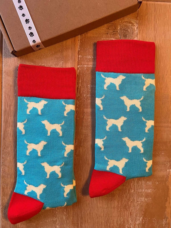 Men's Labrador Socks - Blue - It's Pawfect