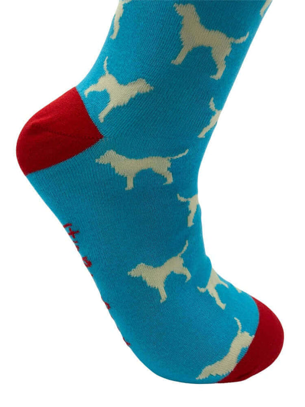 Men's Labrador Socks - Blue - It's Pawfect