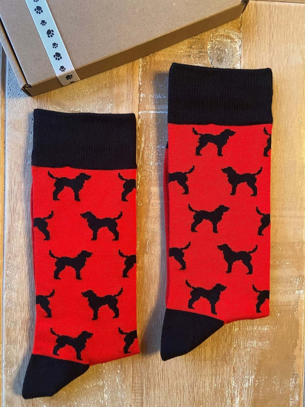 Men's Labrador Socks - Red - It's Pawfect