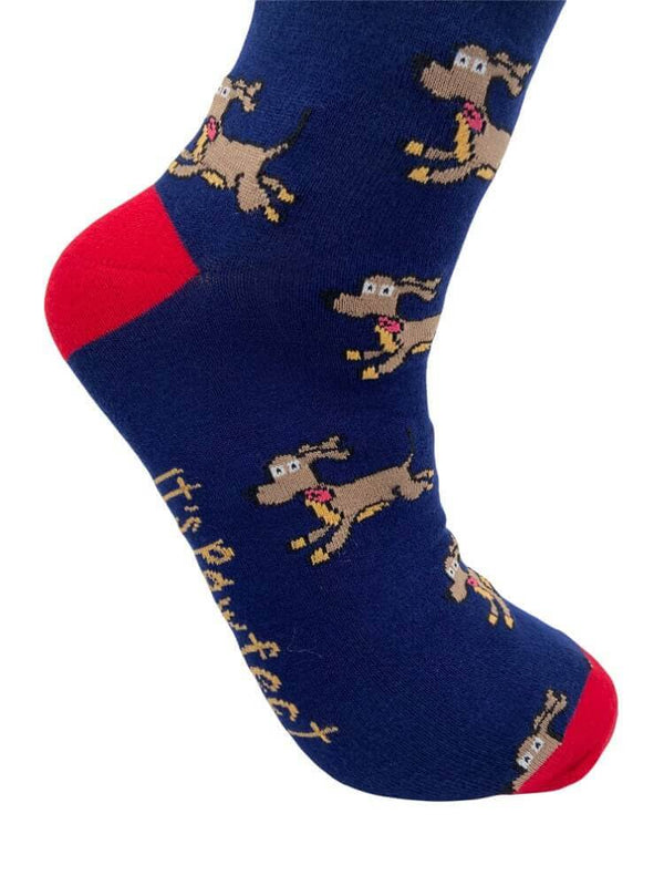 Men's Sausage Dog Socks - Navy - It's Pawfect