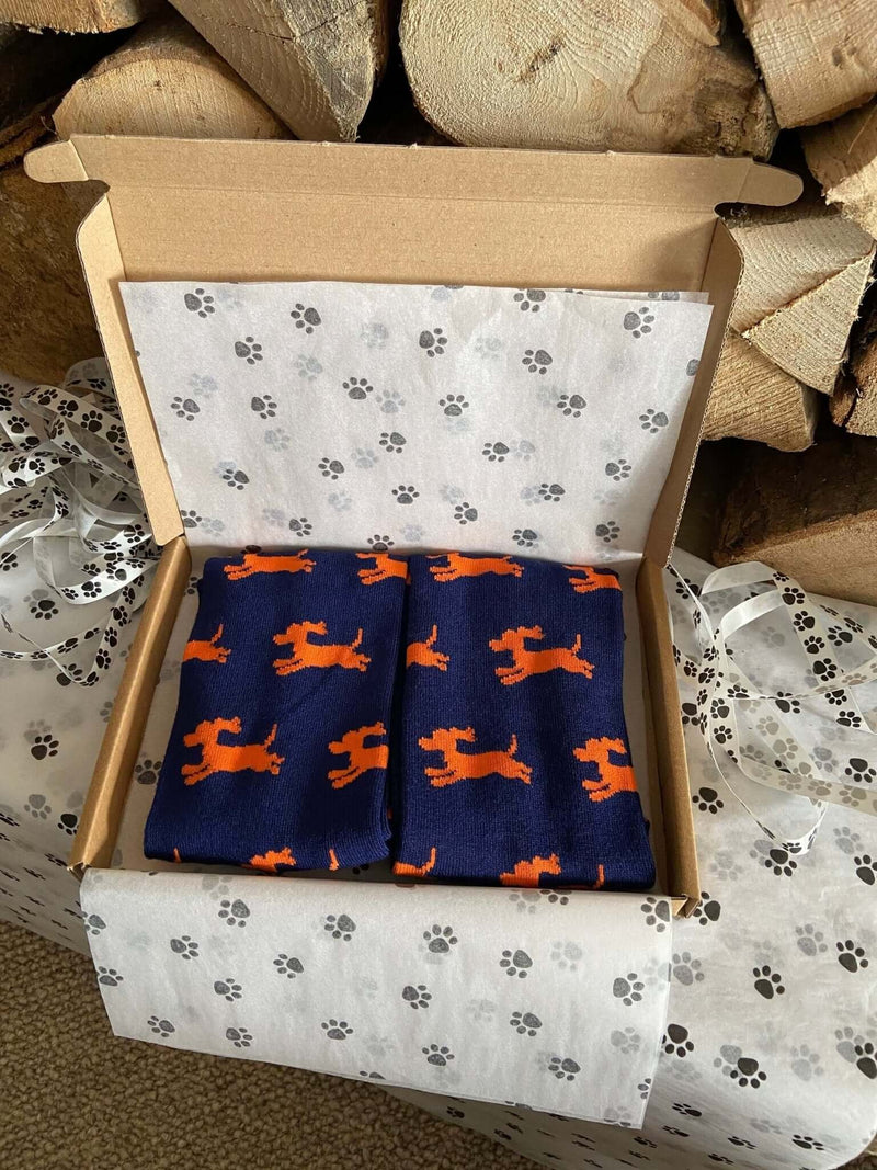 Men's Sausage Dog Socks - Navy & Orange - It's Pawfect