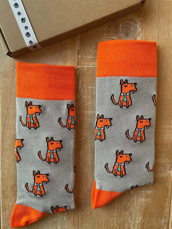 Men's Terrier Socks - Grey - It's Pawfect