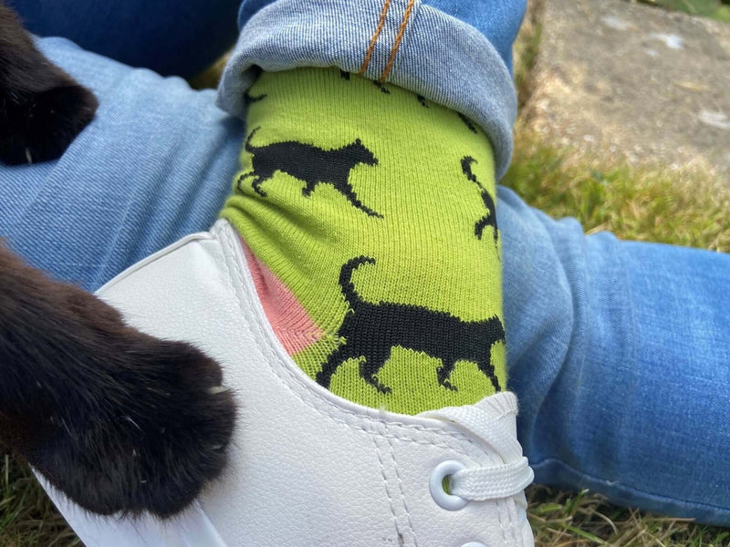 Women's Black Cat Socks - Green - It's Pawfect