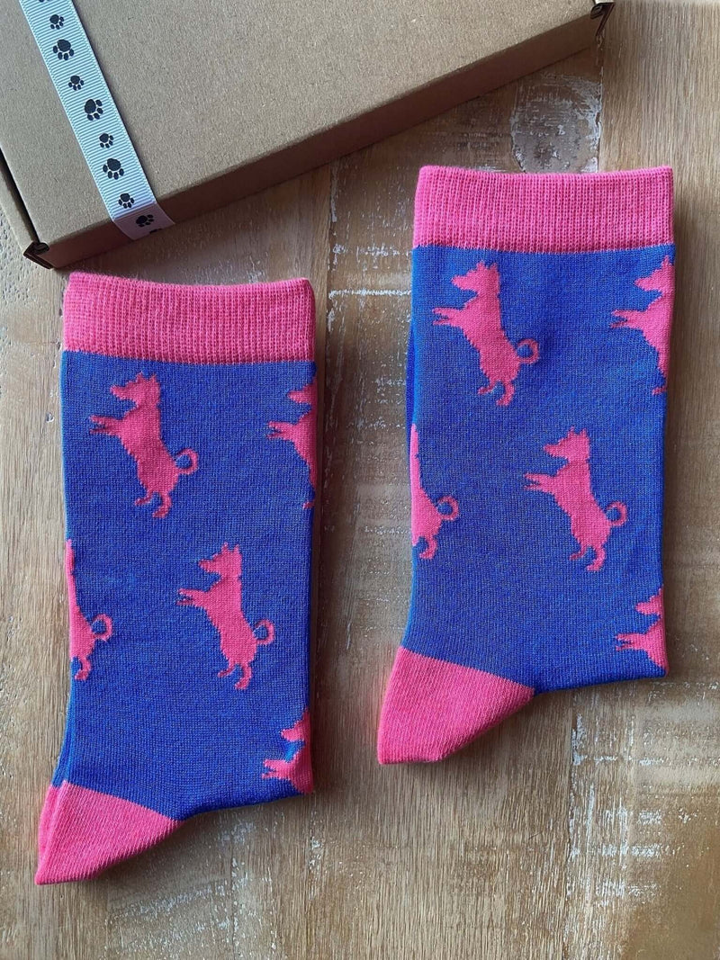 Women's Jack Russell Socks - Dark Blue - It's Pawfect