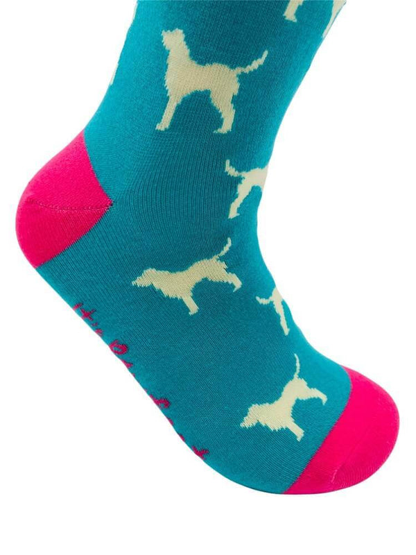 Women's Labrador Socks - Mint - It's Pawfect