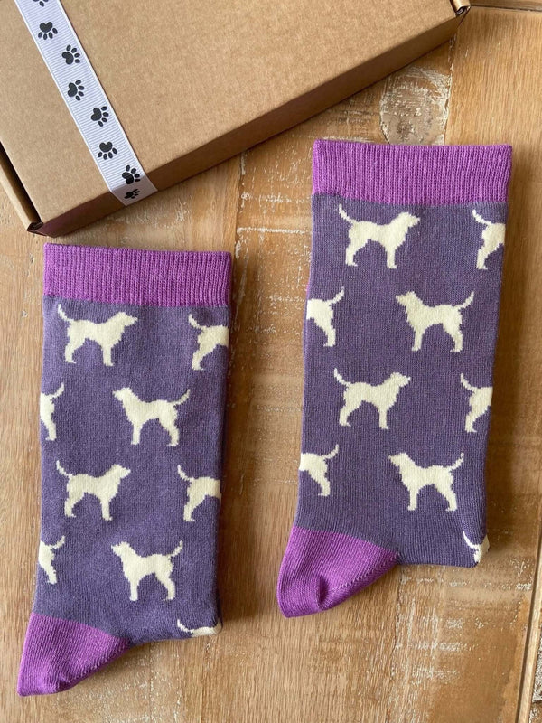 Women's Labrador Socks - Purple - It's Pawfect