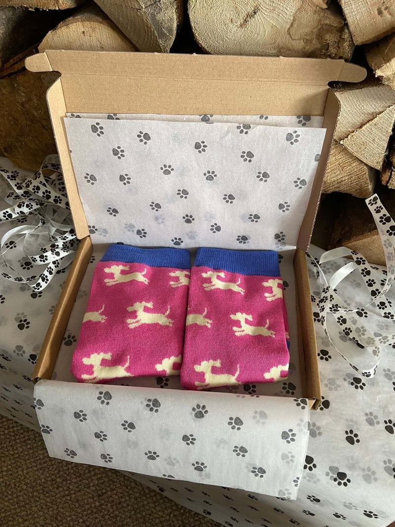 Women's Sausage Dog Socks - Pink - It's Pawfect